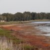 Tuggerah Lake looking towards The Glen, Chittaway Point, 2013